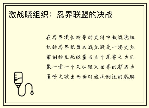 激战晓组织：忍界联盟的决战